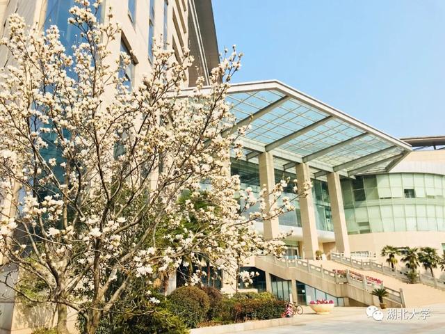 kaiyun登录中国入口登录校长谢红星在学生班会上的特别寄语：热爱生活，珍爱生命